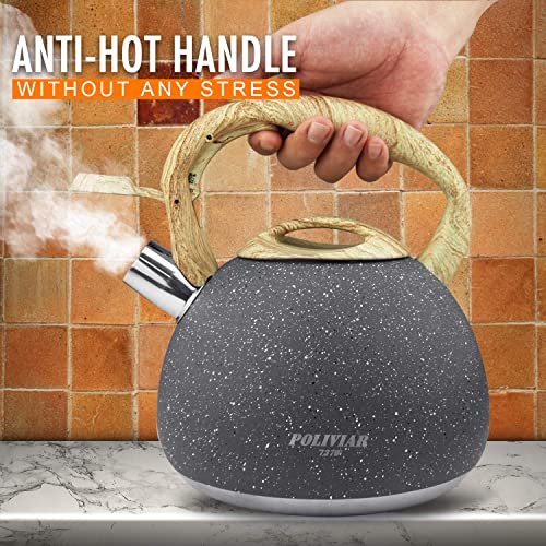Poliviar Tea Kettle with Natural Stone Finish Poliviar Tea Kettle with Natural Stone Finish